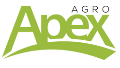 Logo_Apex_2021_Prancheta 1